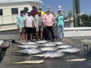 Country Girl Charters, Nice Tuna