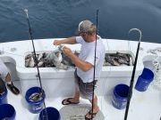 Country Girl Charters, OBX Sea Bass Fishing this Sunday