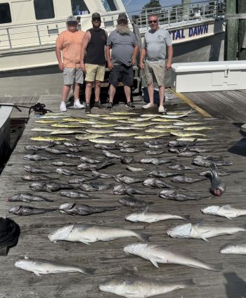 Country Girl Charters, In the Meat